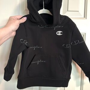 Champion toddler hooded sweatshirt size 3t.